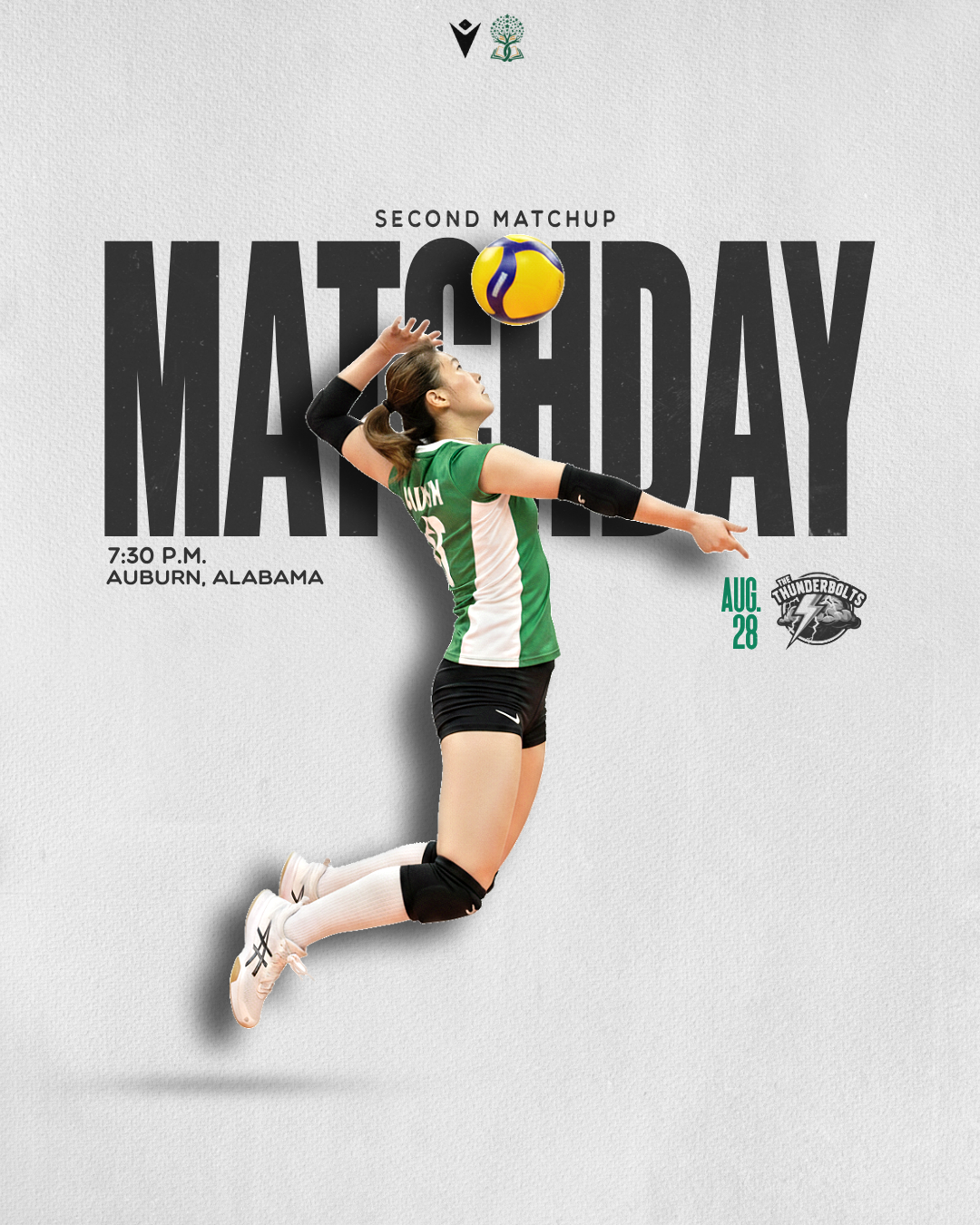 Volleyball Social Media Templates – Editable Sports Posters